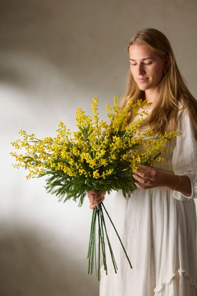 Bilde av Mr Plant Mimosa Stilk 75cm, Gul
