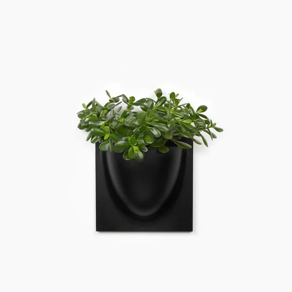 Hovedbilde Verti Copenhagen Vertiplants veggpotte 30x30, Sort