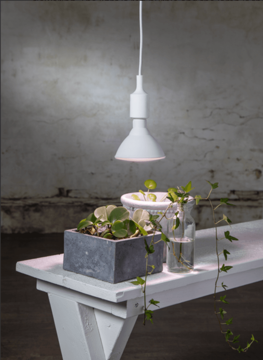 Star - LED Lamp E27 PAR38 Plant Light