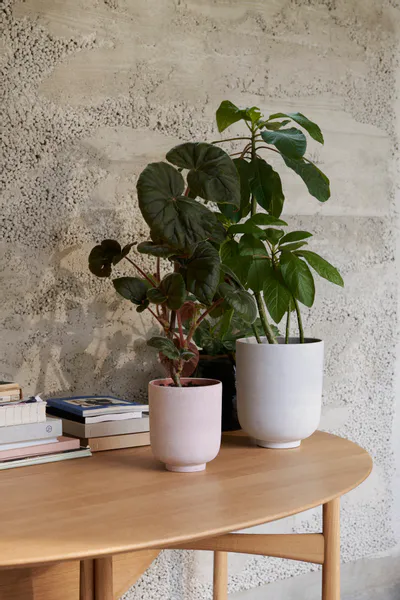 Hovedbilde &Tradition Collect Planter SC70, Milk